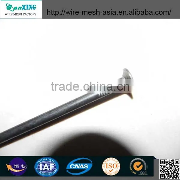 Polished Galvanised Round Common Nail photo-3