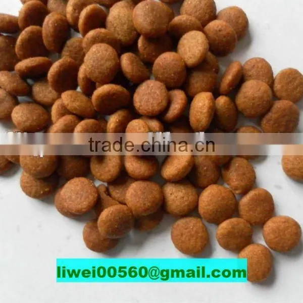 Cat Meal Cat Diet Cat Food