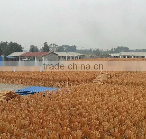 120*2.2cm Natural Eucalptus Wooden Broom Handle photo-6