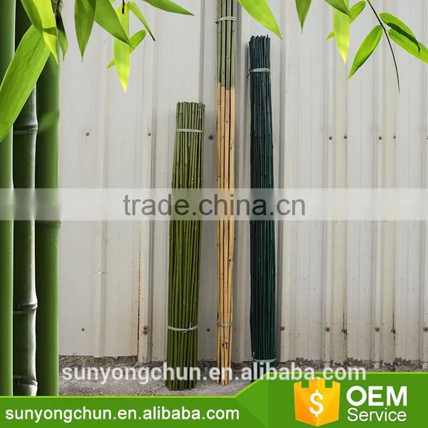 Cheap Factory Direct Supply Agriculture Garden PVC Coated Pole and Color Bamboo Cane photo-2