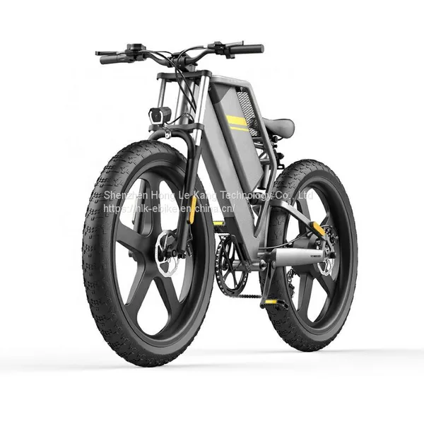 H-18 Cross-coutry Electric Bike Off-Road Electric Bike Wholesale Chinese Electric Bike Factories photo-4