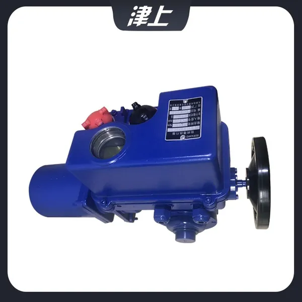 Part of the Rotary Electric Actuator BS-60/K30Z Direct Electric Actuator photo-2