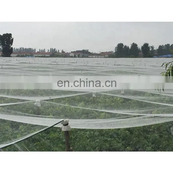100% Virgin HDPE UV Treated Greenhouse Plastic Anti Hail Net photo-3