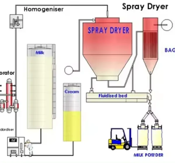 Turkey Project Powder Milk Processing Line/ Powder Milk Production for Baby/baby Milk Powder Production Line photo-5