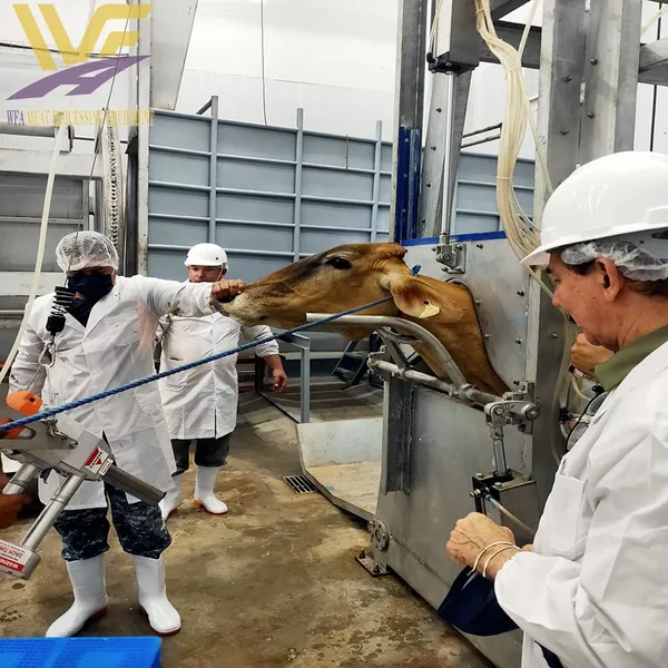 Cattle Slaughter Production Line China Beef Abattoir Equipment USDA Butcher Machinery Customized Factory Processing Plant