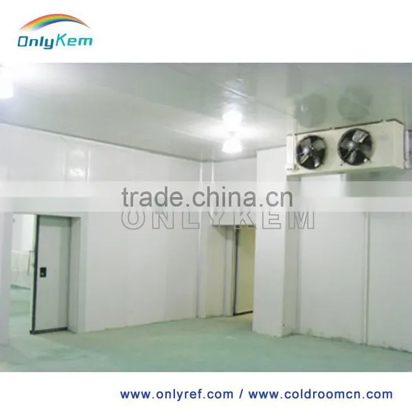 PU Foam Chiller Room for Dates With Bizter Multiple Compressor photo-6