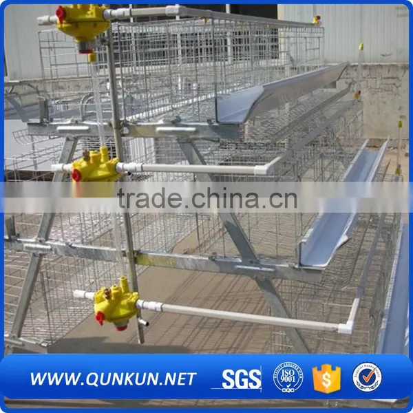 Commercial Chicken House Sale for Layers photo-2