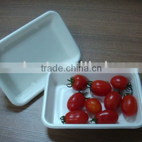 Bagasse Tray