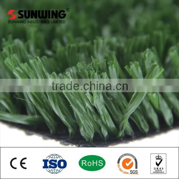 Golf Putting Green Grass Sport Artificial Lawn