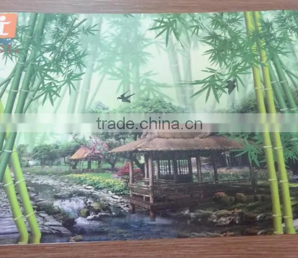UV Printed Long Time Color Last Environmental Home Mural Wallpaper photo-3