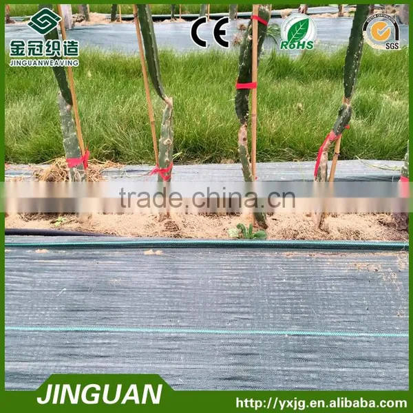 Agricultural Ground Cover, Weed Block Fabrics in Pitiya Fruit Base