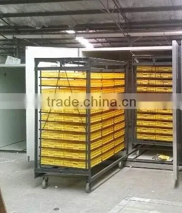 Combined Egg Hatcher Setter Fully Automatic Egg Incubator CE Approved Chicken Egg Incubator 8448eggs