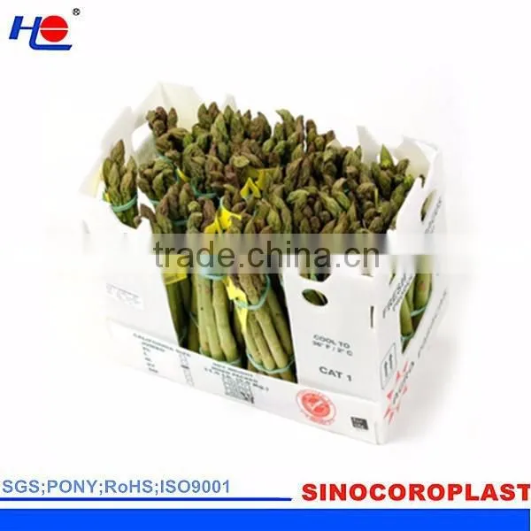 PP Vegetables Crates photo-3