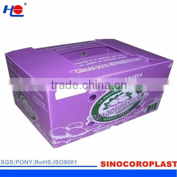 Recyclable Plastic Corrugated Box photo-3