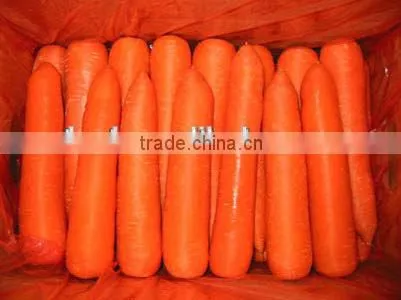 Carrots Agricultural Crops of China photo-2