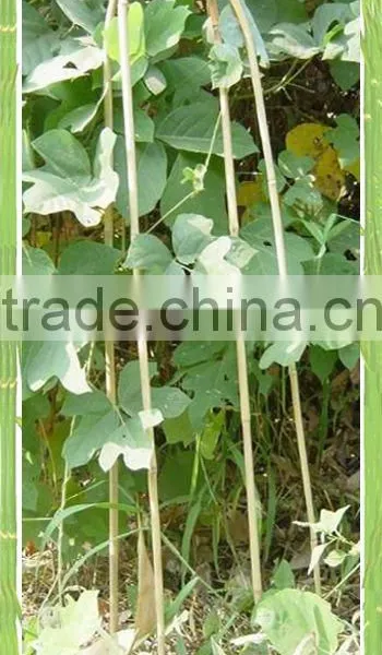 Garden Supplies/Garden OrnamentsFlower Shelf