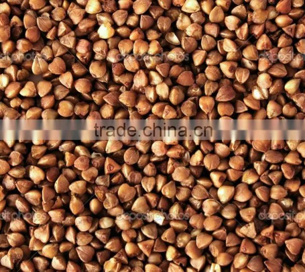 BUCKWHEAT KERNELS photo-2