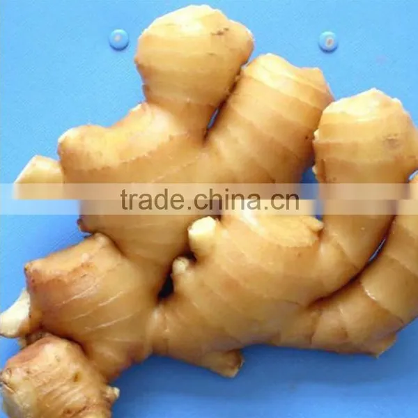 2016crop Air Dried Ginger Price