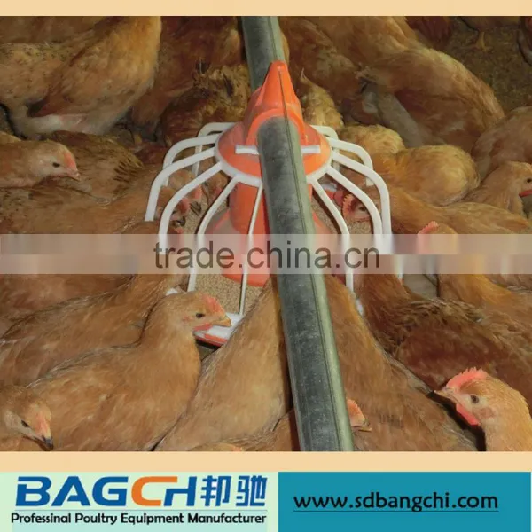 Complete Automatic Poultry Farm Feed Pan for Chicken Feeding System photo-3