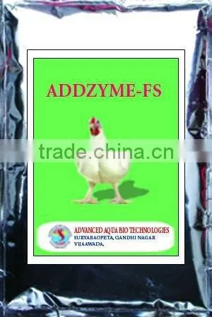Multi Enzyme Feed Supplement for Poultry Chicken