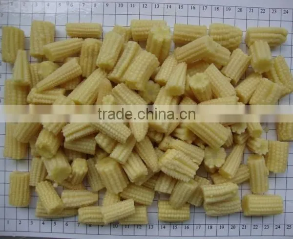 Fresh Baby Corn Cut From Vietnam photo-3