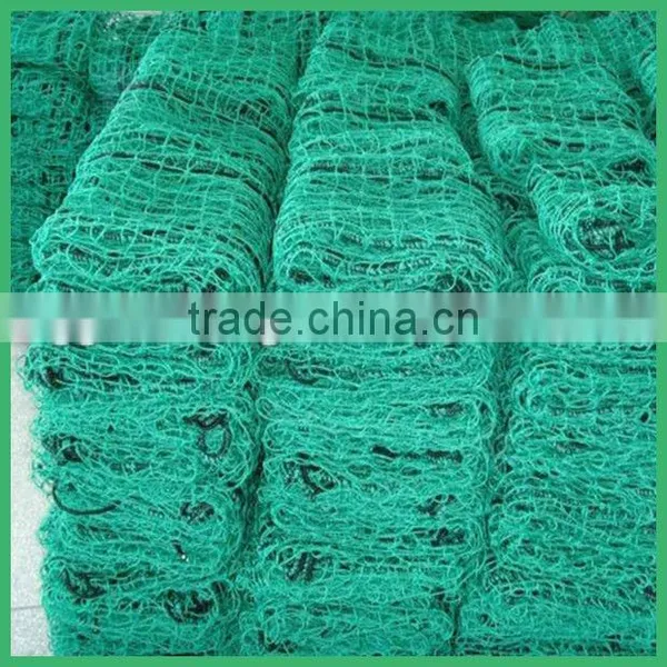 Container Net