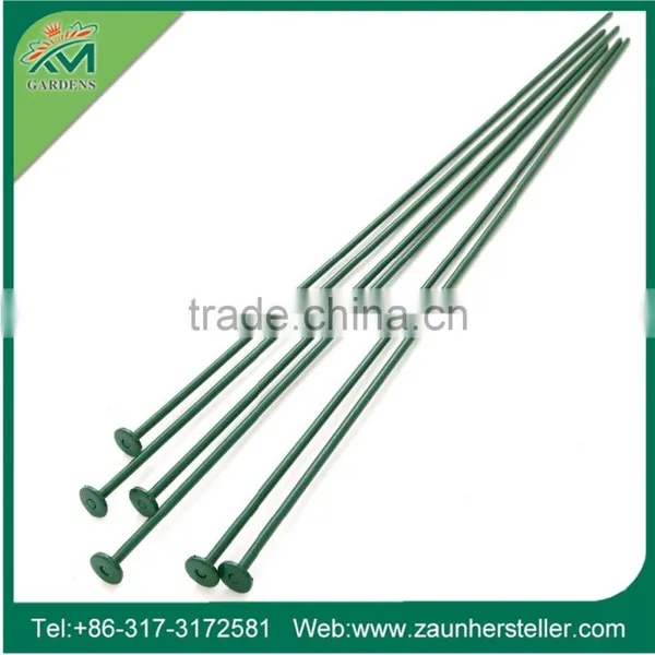 Germany Style Lightweight Garden Fencing photo-6