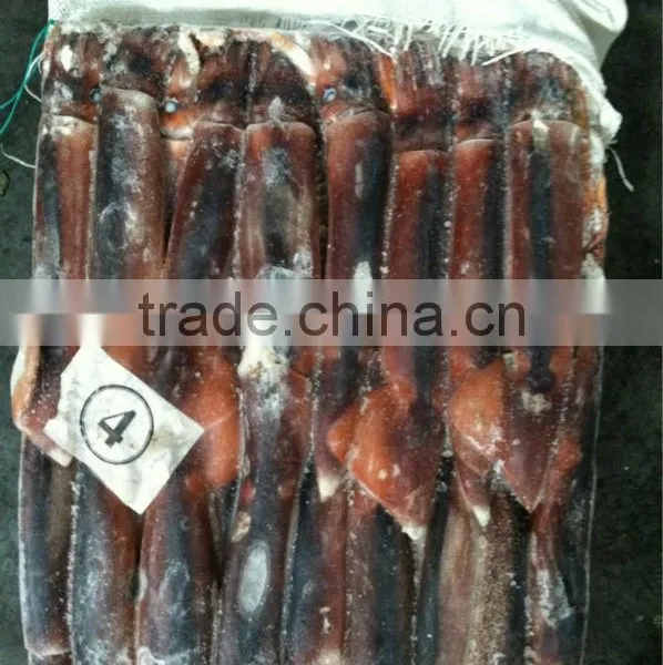 200-300G Frozen Argentina Illex Squid photo-3