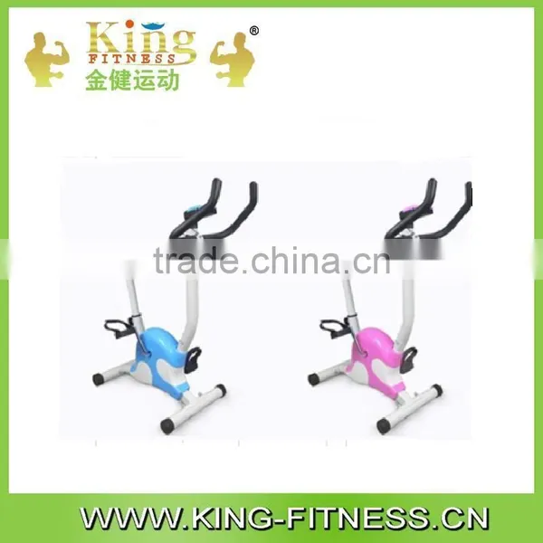Commercial Fitness Bike