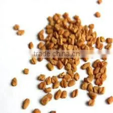 Fenugreek Seed Sortex Quality photo-2