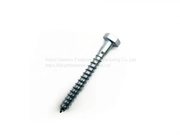 DIN571 M6 M12 Hex Head Wood Screw Fastener photo-4