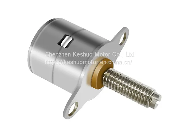 10BY Stepper Motor photo-2