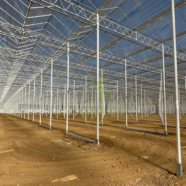 Venlo Glass Greenhouse