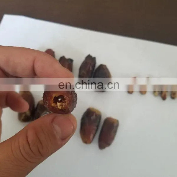Automatic Dates Pitter Machine/Date Pitting Processing Machine/Date Seed Removing Machine photo-2