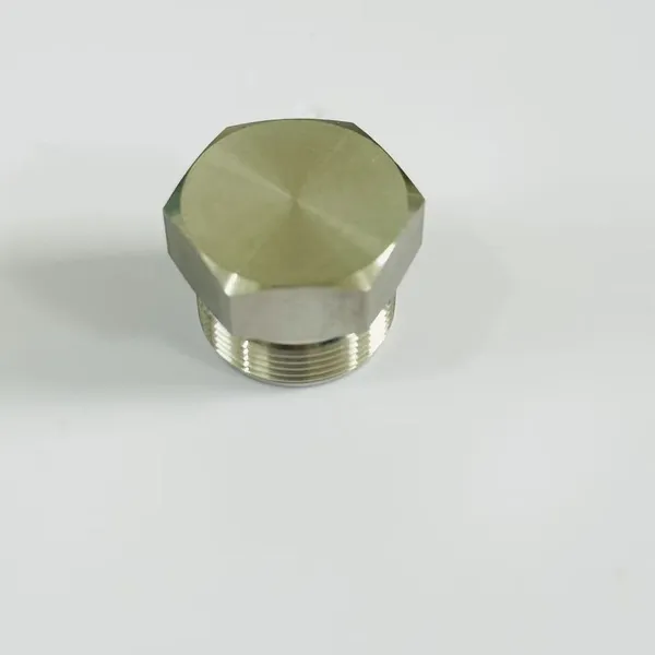 304 Stainless Steel Tube Fitting Cap for Hydraulic Systems