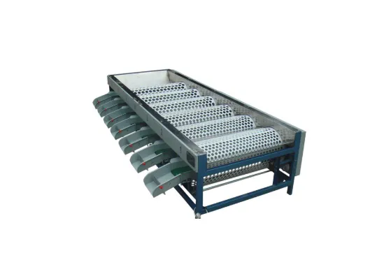 Potato Sorting Machine Fruit and Vegetable Grading Machine3 photo-4
