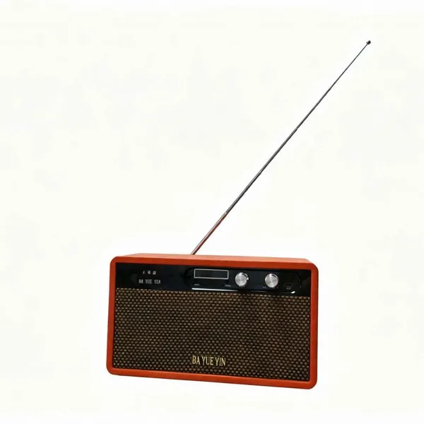 BAYUEYIN Bluetooth Speaker With FM Radio