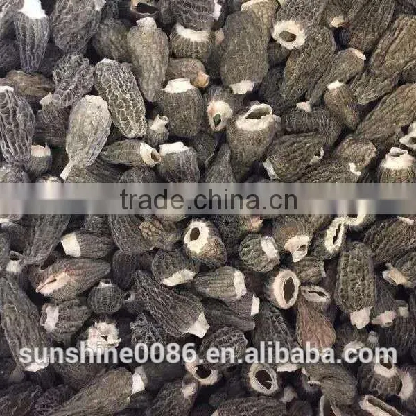 Dried Morel Morchella Mushroom From Yunnan photo-2