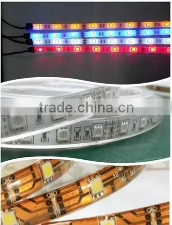 Hot Selling 240leds/meter 12V Double Row 3014 Smd Led Strip photo-2