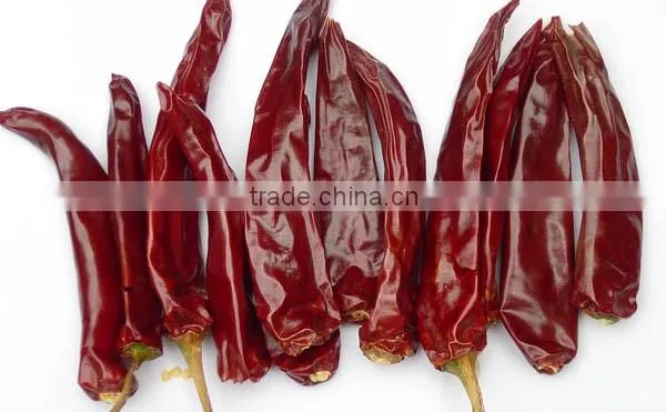 Beijing Red Chilli, Chilli photo-6