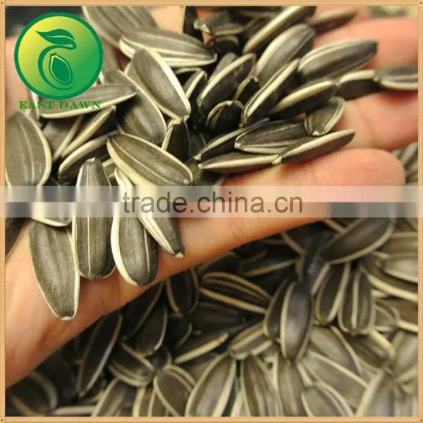 Wholesale Oil Sunflower Seeds Market Price photo-2