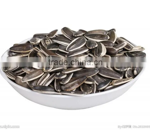 Melon Seeds Microwave Oven Sterilization Machine photo-2