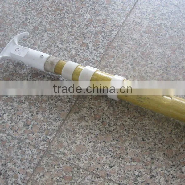 Extended Telescopic Fiberglass Stick
