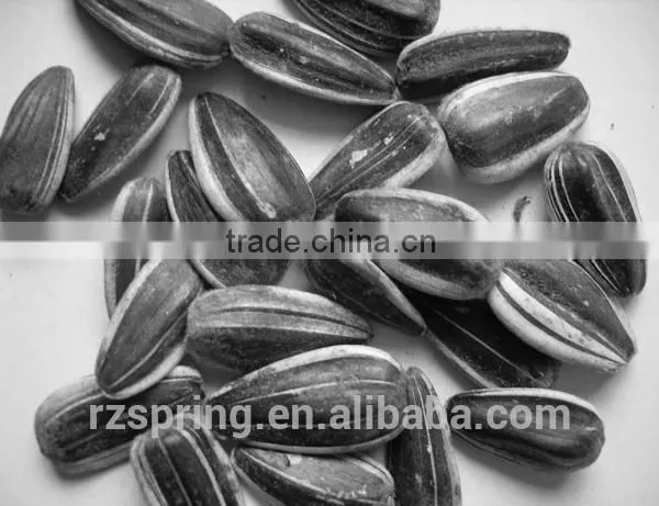 BLACK SUNFLOWER SEEDS photo-2