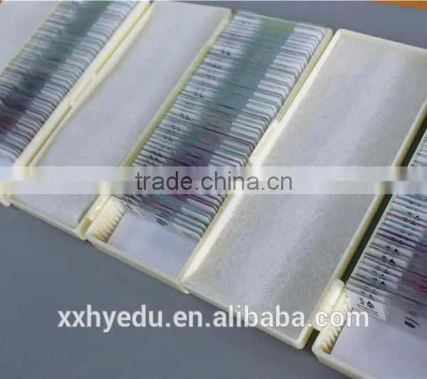 Lab Microscope Prepared Slides , Glass 52kinds Bacterial Prepared Slides,science Prepared Slides photo-3