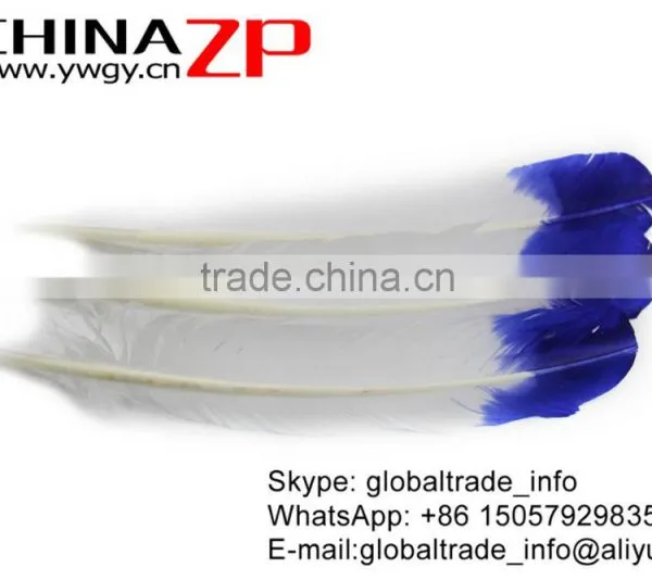 CHINAZP Factory Cheap Wholesale Feather Size From 30cm to 35cm Dyed Blue Half Dipped Bicolourable Turkey Rounds Wing Feathers photo-3