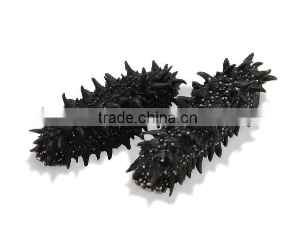 Japanese Dried Sea Cucumber as Hokkaido Marine Products at Reasonable Prices