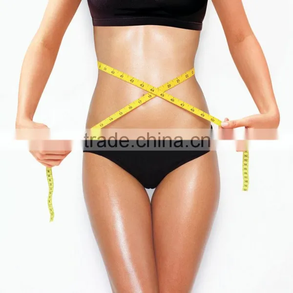 High Intensity Focused Ultrasound Hifu U Liposonic Fat Removal Body Slimming Beauty Machine From Eversun HIFU U One Lipo 106 photo-3