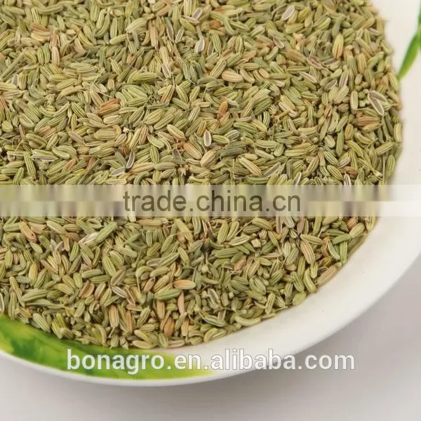 XingJiang Organic Fennel Seed