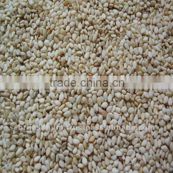 Sesame Seed Buyers